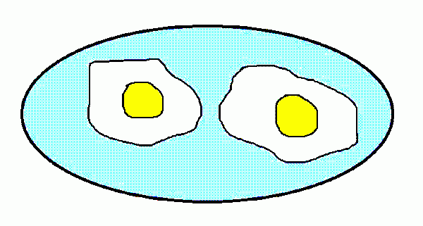 a plate of two fried eggs