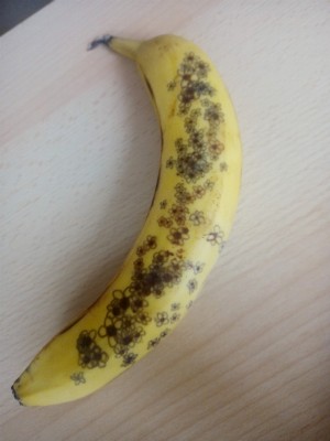 Blooming banana 🍌
