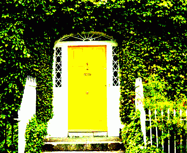 A yellow door. It beckons to you. There should not be a door there...