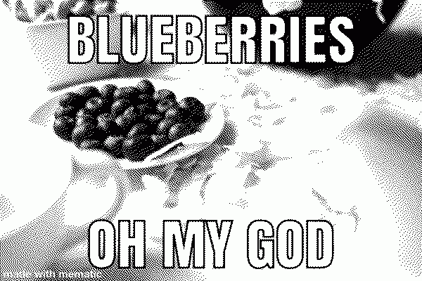 LOVE BLUEBERRIES, NOWWW.