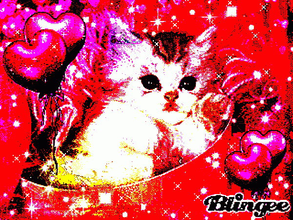 Blingee kitten pic