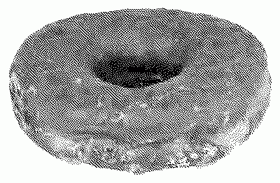 Image of a glazed donut