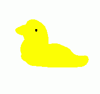 pet duck