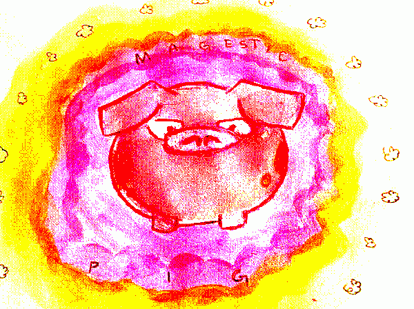 MAGESTIC PIG