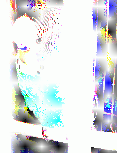 (Apologies for the eyesore of an image of myself, i couldn't fix the brightness)