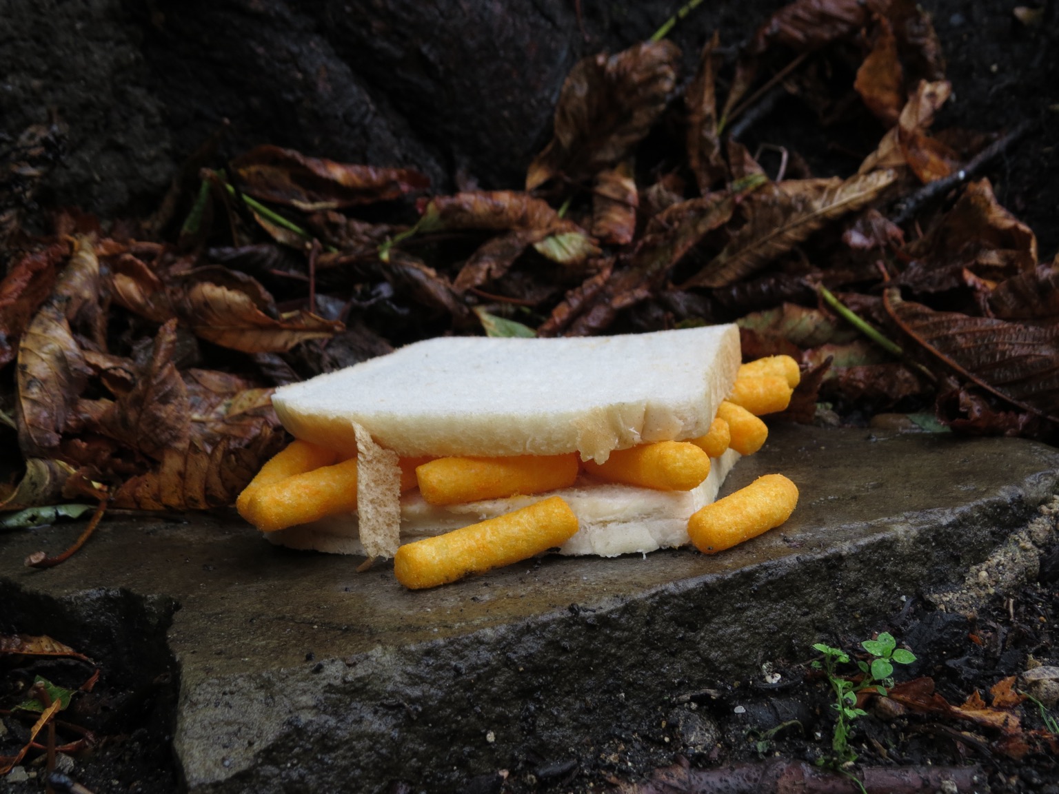 Wotsits sandwich on a wet stone slab alongside leaves