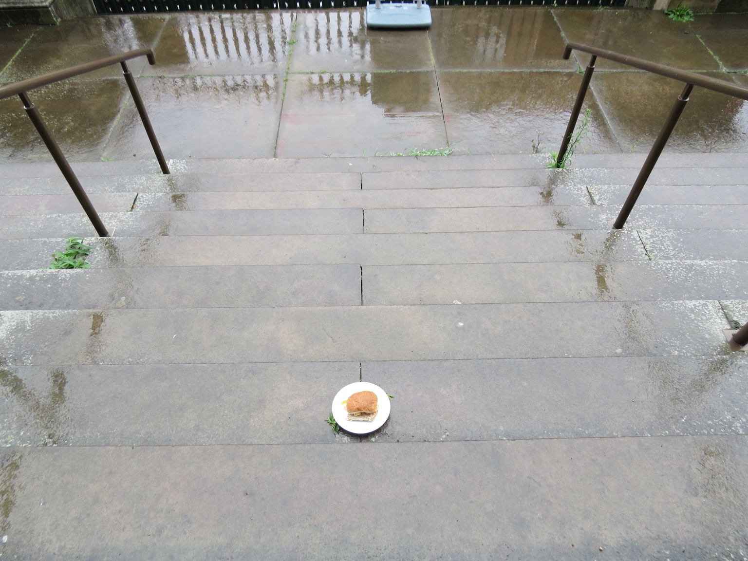 Brown Quavers roll on wet steps