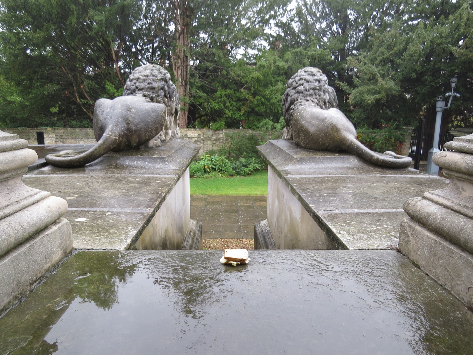 Crisp sandwich on the ground in front of two lion statues