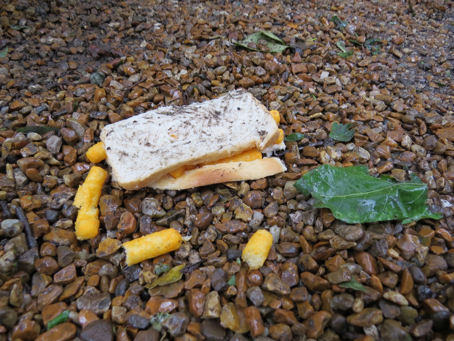 Crushed Wotsits sandwich with tread marks from shoe/tyre