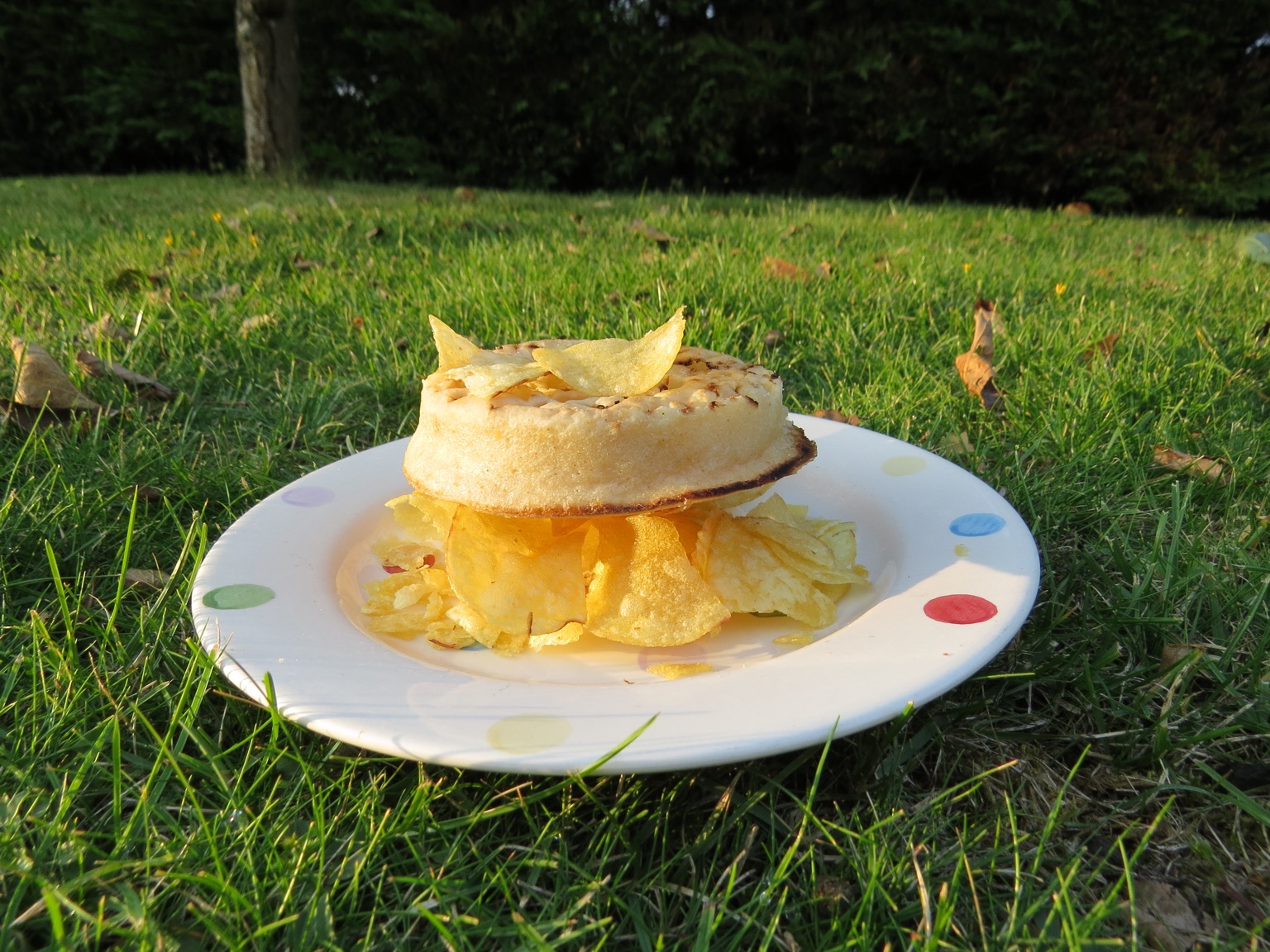 Crumpet among crisps on a plate on grass