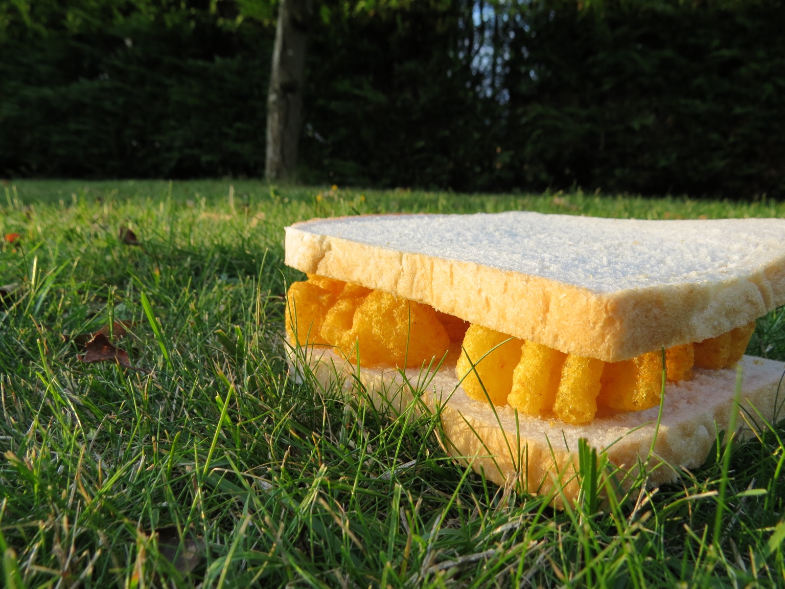 Monster Munch sandwich nestling among blades of grass
