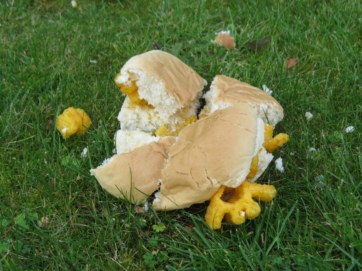 Chopped up Monster Munch roll on grass
