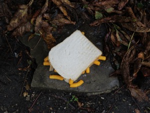 Overhead view of Wotsits sandwich alongside leaves