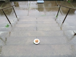 Brown Quavers roll on wet steps