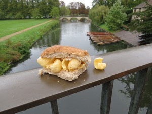 Brown Quavers roll on a bridge over a river