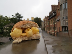 Brown Quavers roll with houses and trees in background