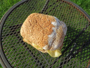 Brown crust crisp sandwich on a garden chair