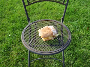 Garden chair featuring sandwich containing potato crisps