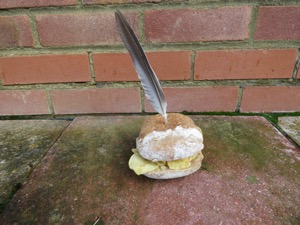 Crusty brown crisp sandwich with a feather stuck in it