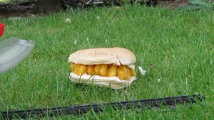 Monster Munch roll chopped up with a hedge trimmer