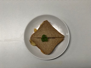 Overhead view of garnished brown crisp sandwich