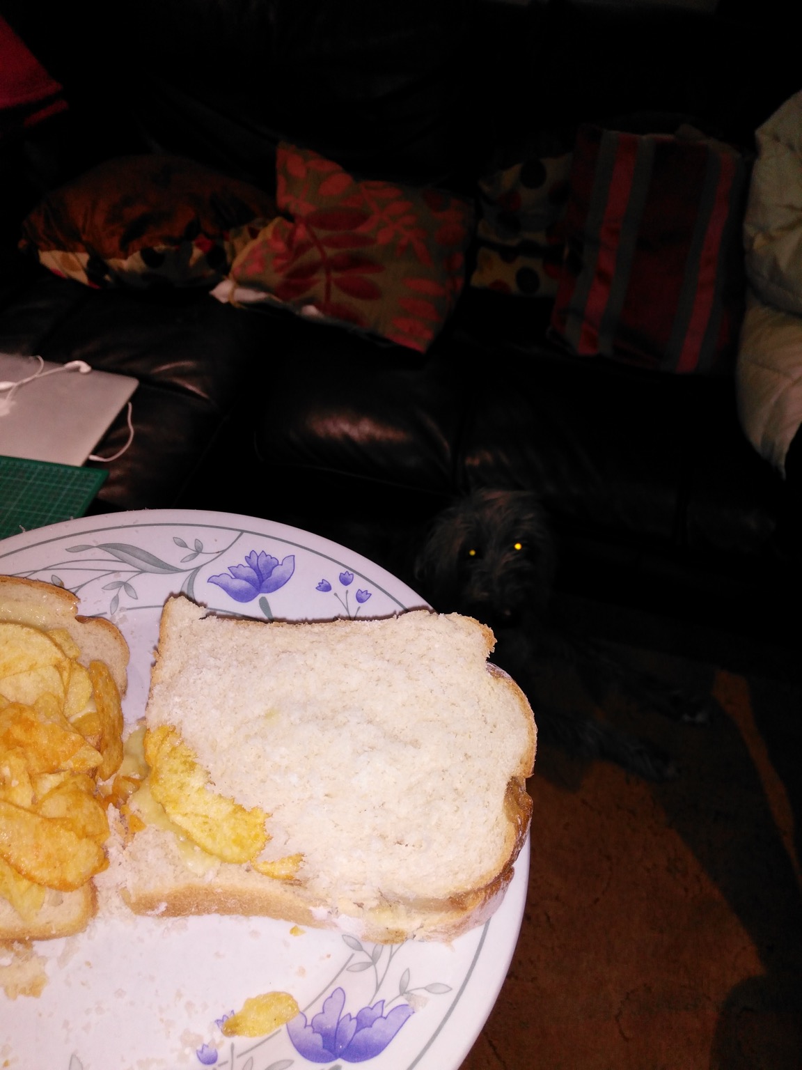 Flash photo of sandwich and mysterious beast