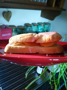 White crisp sandwich with BISCUITS in background