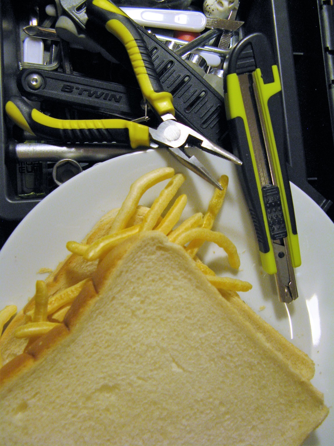 Toolkit containing a French Fries sandwich