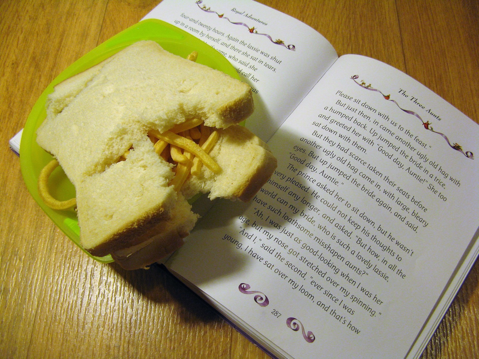 Torn/eaten French Fries sandwich on a book