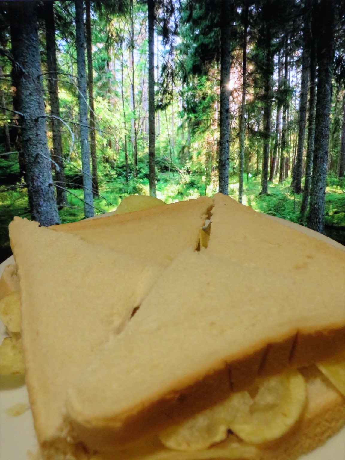 Quartered white crisp sandwich with woodland backdrop