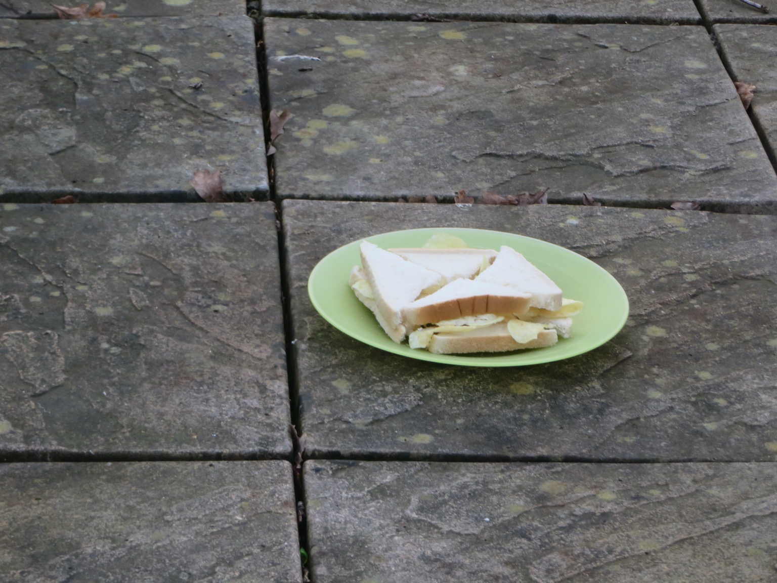 White crisp sandwich on a plate on paving slabs