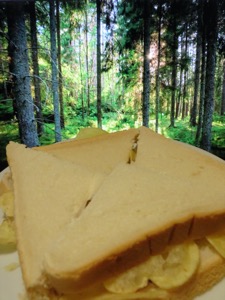 Quartered white crisp sandwich with woodland backdrop