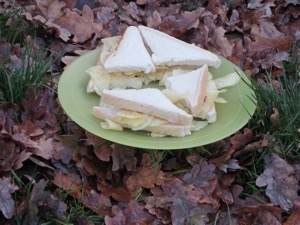 Quartered crisp sandwich among autumnal leaves