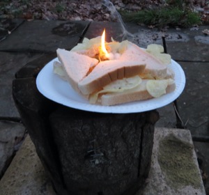 Burning crisp sandwich on a plate on a log