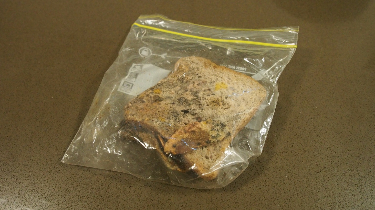 Mouldy crisp sandwich in a plastic bag