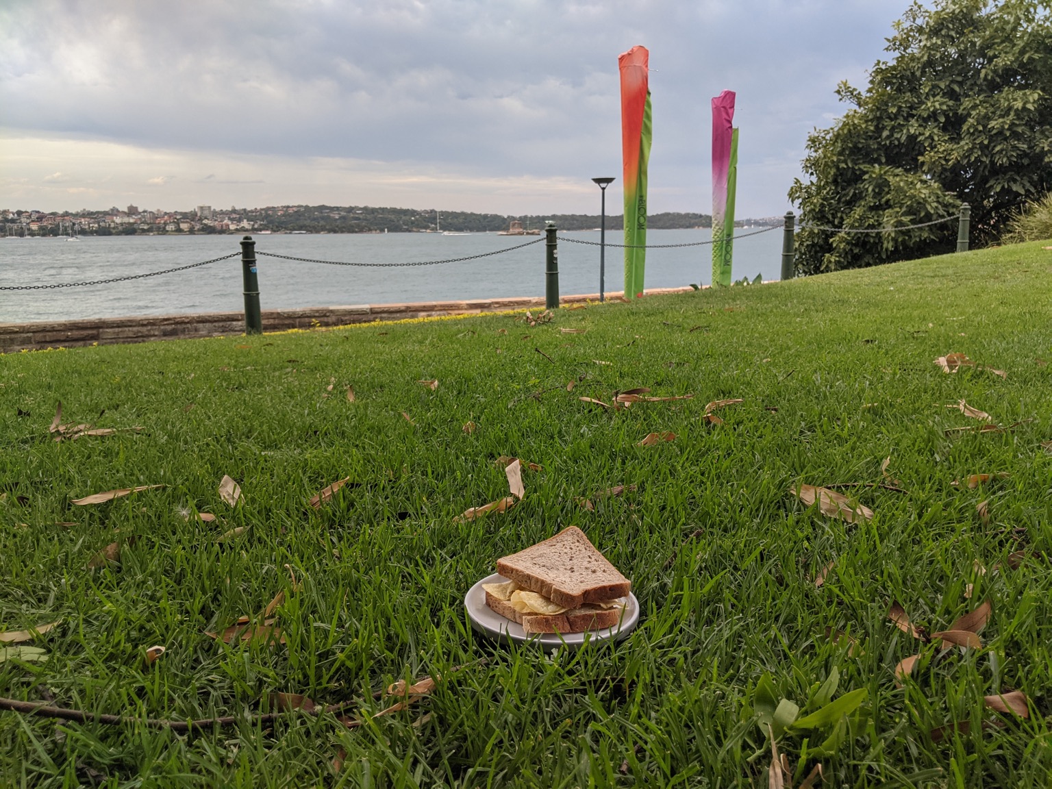 Plated crisp sandwich on grass near water