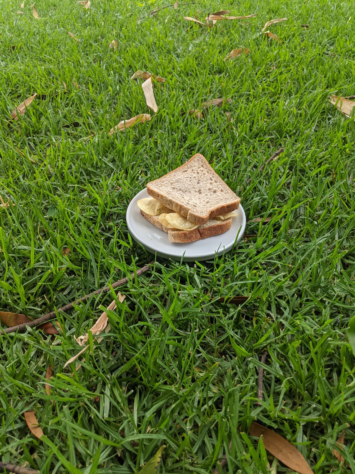Potato crisp sandwich on a plate on grass