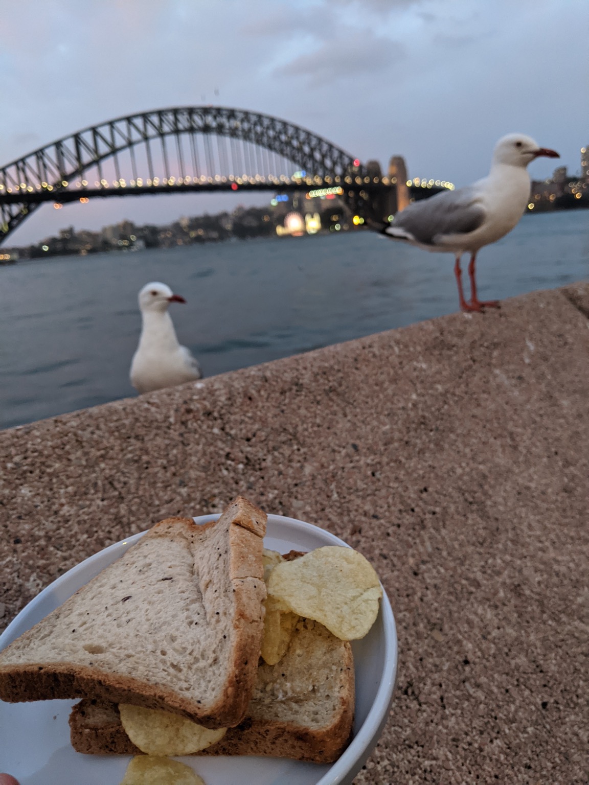 Crisp sandwich with seagulls and Sydney Harbour Bridge
