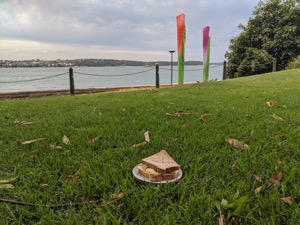 Plated crisp sandwich on grass near water