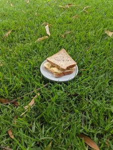 Potato crisp sandwich on a plate on grass