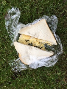 White crisp sandwich in cling film