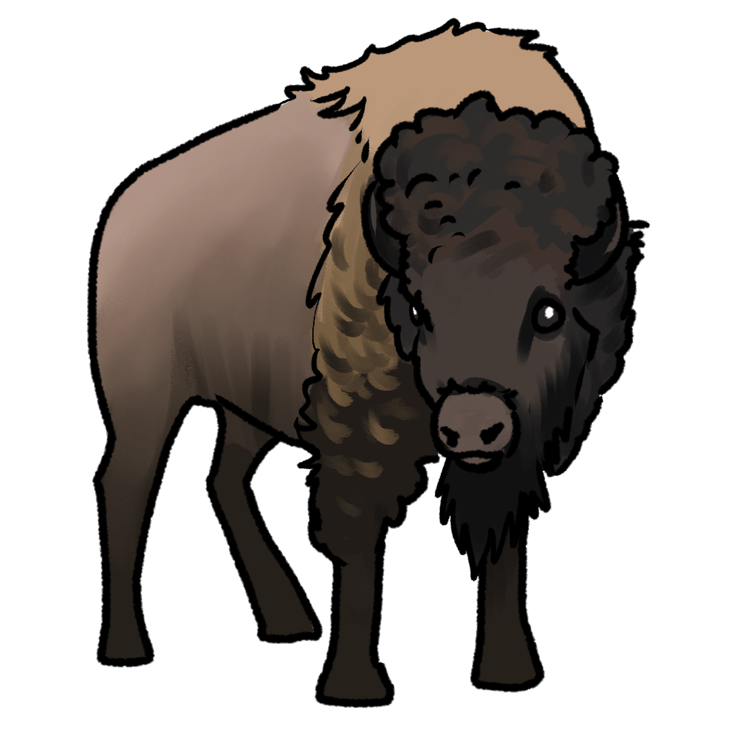 Bison bison bison