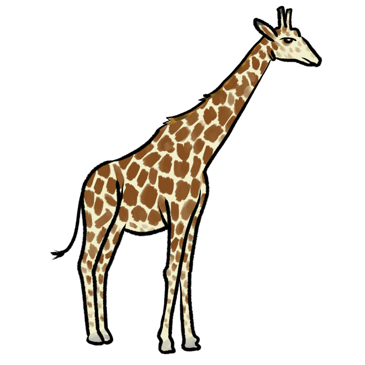 Giraffa giraffa giraffa