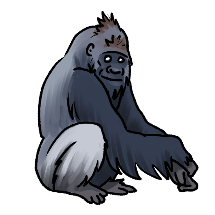 Gorilla gorilla gorilla