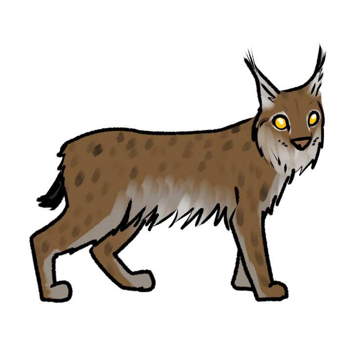 Lynx lynx lynx