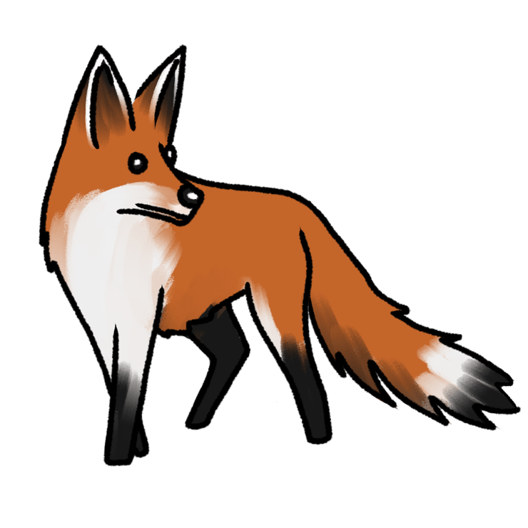 Vulpes vulpes vulpes